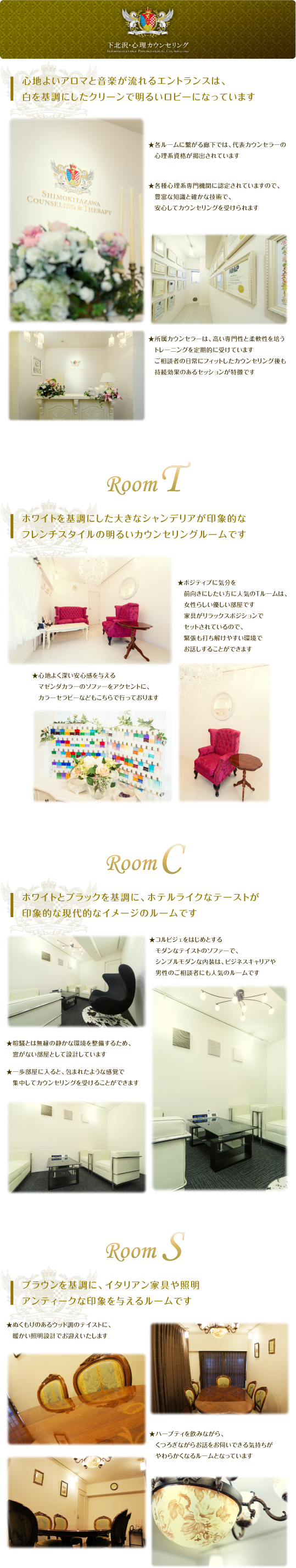 tokyo_setagaya_shimokitszawa_psychological_counseling_045